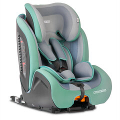 Автокресло с Isofix, Ricokids Qway 9-36 кг, зеленое/серое цена и информация | Автокресла | 220.lv