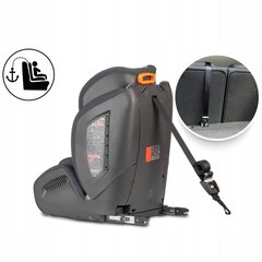 Autokrēsliņš ar ISOFIX, RICOKIDS, 9-36kg, grey/black cena un informācija | Autokrēsliņi | 220.lv