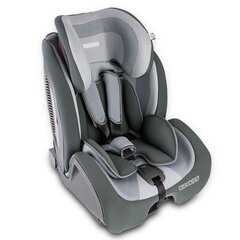 Автокресло с ISOFIX, RICOKIDS, 9-36кг, серый/черный цена и информация | Автокресла | 220.lv