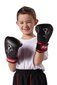 Bērnu boksa cimdi KWON Mini Shark 4oz., sarkani cena un informācija | Bokss un austrumu cīņas | 220.lv