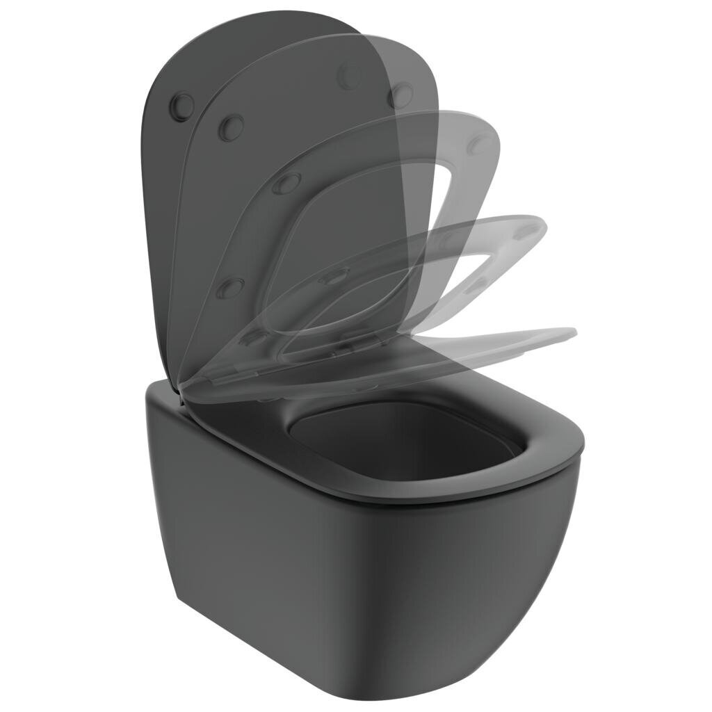 Tualetes poda vāks Ideal Standard cena un informācija | Piederumi tualetes podiem un bidē | 220.lv