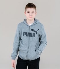 Детская спортивная кофта Puma 586968*03, серая 4063697293694 цена и информация | Свитеры, жилетки, пиджаки для мальчиков | 220.lv