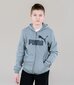 Puma bērnu sporta jaka 586968*03, pelēka 4063697293694 cena un informācija | Zēnu jakas, džemperi, žaketes, vestes | 220.lv