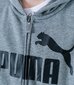 Puma bērnu sporta jaka 586968*03, pelēka 4063697293694 cena un informācija | Zēnu jakas, džemperi, žaketes, vestes | 220.lv