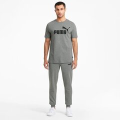 Мужская футболка Puma 586666*03, черная/белая 4063697404571 цена и информация | Мужские футболки | 220.lv