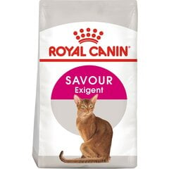 Royal Canin Exigent 35/30 Savour Sensation 10 kg cena un informācija | Sausā barība kaķiem | 220.lv