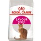 Royal Canin Exigent 35/30 Savour Sensation 10 kg цена и информация | Sausā barība kaķiem | 220.lv