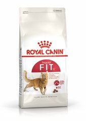 Royal Canin aktīvi kaķi Cat Fit, 15 kg цена и информация | Сухой корм для кошек | 220.lv