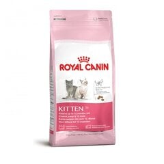 Royal Canin Kitten 4 kg cena un informācija | Sausā barība kaķiem | 220.lv