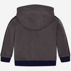 Džemperis ar kapuci cena un informācija | Zēnu jakas, džemperi, žaketes, vestes | 220.lv