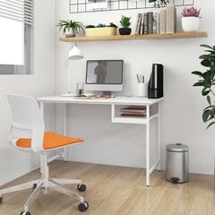 Datorgalds, 105x55x72 cm, balts cena un informācija | Datorgaldi, rakstāmgaldi, biroja galdi | 220.lv