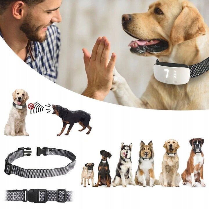 Riešanas kaklasiksna suņiem XCHO цена и информация | Piederumi suņu trenēšanai | 220.lv