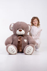 Плюшевый медведь "I love you" 150 см Серо-коричневый цена и информация | Мягкие игрушки | 220.lv