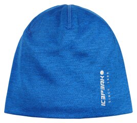 Женская шапка Icepeak Haan 58835-9*360, синяя 6438513899288 цена и информация | Шапки, перчатки, шарфы для мальчиков | 220.lv