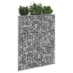 vidaXL gabions, augstā puķu kaste, cinkots tērauds, 80x20x100 cm cena un informācija | Podi stādiem un pārstādīšanai | 220.lv