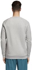 Džemperis vīriešiem Adidas Originals Trefoil Crew, pelēks cena un informācija | Vīriešu jakas | 220.lv