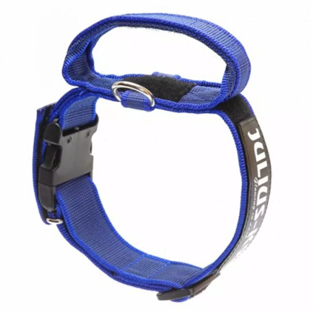 Julius K9 suņa kaklasiksna, 49-70 cm, zila cena un informācija | Apkakles, siksnas suņiem | 220.lv