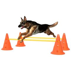 vidaXL suņu šķēršļu komplekts, oranžs un dzeltens cena un informācija | Piederumi suņu trenēšanai | 220.lv