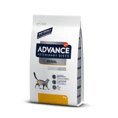 VET Adv cat Renal Failure 8 kg - Для котов с проблемными почками цена и информация | Сухой корм для кошек | 220.lv