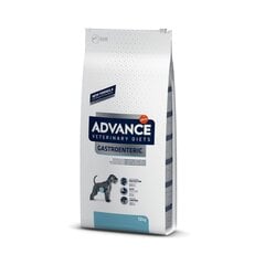 ADVANCE VET DOG GASTROENTERIC 12KG - Barība gremošanas trakta veselībai cena un informācija | Sausā barība suņiem | 220.lv