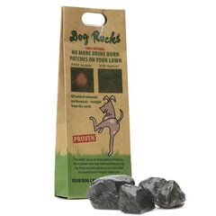 Dogs Rocks akmeņi suņiem pret urīna traipiem cena un informācija | Piederumi suņu trenēšanai | 220.lv