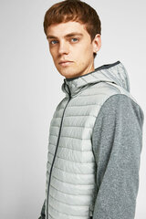 Мужская курткa JACK&JONES 12182242GHOSTGRAY-L цена и информация | Мужские куртки | 220.lv