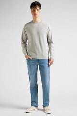 Džemperis LEE L83PKH37-M cena un informācija | Vīriešu džemperi | 220.lv