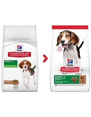 Hill's Science Plan Puppy Medium barība kucēniem ar jēra gaļu un rīsiem, 18 kg cena un informācija | Sausā barība suņiem | 220.lv