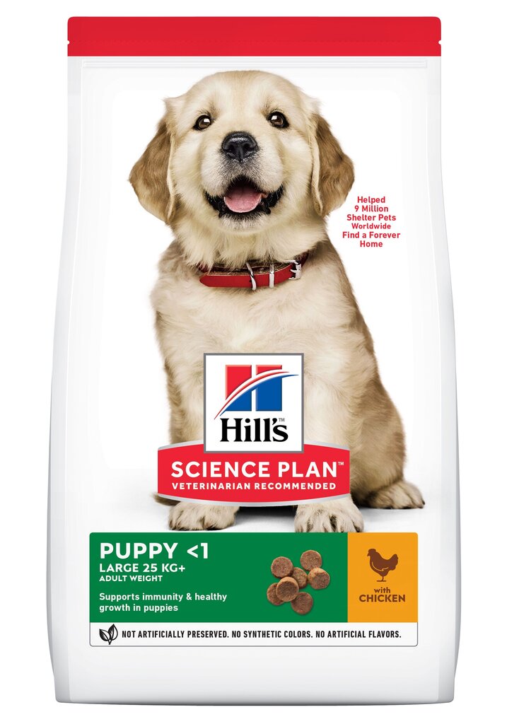 Hill's Science Plan Puppy Large Breed barība kucēniem ar vistu, 14,5 kg cena un informācija | Sausā barība suņiem | 220.lv