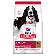 Hill's Science Plan Medium Pieaugušo suņu barība ar jēru un rīsiem, 18 kg cena un informācija | Sausā barība suņiem | 220.lv