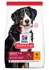 Hill's Science Plan Adult Large Breed suņu barība ar vistu, 14 kg cena un informācija | Sausā barība suņiem | 220.lv