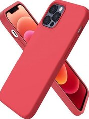 Maciņš priekš Iphone 12 PRO MAX, Case LIQUID SILICONE, sarkans cena un informācija | Telefonu vāciņi, maciņi | 220.lv