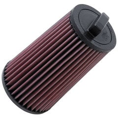 Gaisa filtrs K&N E-2011 cena un informācija | Auto piederumi | 220.lv