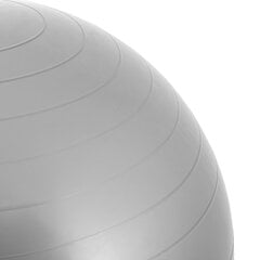 Мяч гимнастический Spring, серый цена и информация | Гимнастические мячи | 220.lv