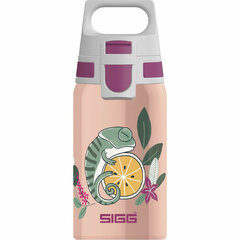 Бутылка для воды Sigg 9000.9 (0,5 л) (Пересмотрено C) цена и информация | Фляги для воды | 220.lv