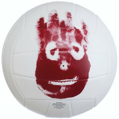 Волейбольный мяч Wilson (Пересмотрено B) цена и информация | Волейбольные сетки | 220.lv