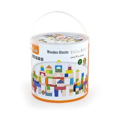 Набор разноцветных деревянных кубиков в ведерке Viga, 100 шт.  цена и информация | Развивающие игрушки | 220.lv