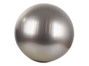 Гимнастический мяч + помпа, 65 см цена и информация | Гимнастические мячи | 220.lv