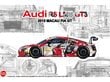 NuNu - Audi R8 LMS GT3 2015 FIA GT3 World Cup, 1/24. 24028 cena un informācija | Konstruktori | 220.lv
