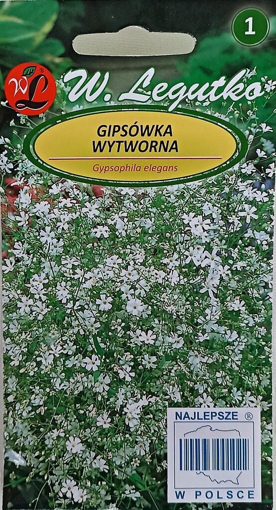 Gipsofila elegans, balta, 2 gb цена и информация | Puķu sēklas | 220.lv