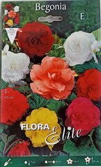 Бегония клубневая смешанная, 3 шт. цена и информация | Луковичные цветы | 220.lv