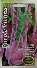 Кольраби Purple Vienna, 2 шт цена и информация | Семена овощей, ягод | 220.lv