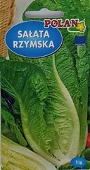 Romas salāti, 2 gb cena un informācija | Dārzeņu, ogu sēklas | 220.lv