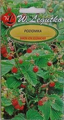 Remontantzemenes Baron von Solemacher, 2 gb cena un informācija | Dārzeņu, ogu sēklas | 220.lv