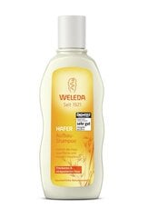 Šampūns ar auzām Weleda 190 ml cena un informācija | Šampūni | 220.lv