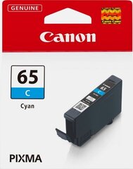 Canon 4216C001 цена и информация | Картриджи для струйных принтеров | 220.lv