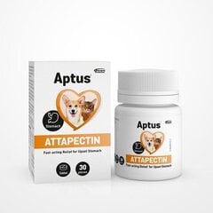 Добавка Aptus для собак и кошек Attapectin 30 таблеток цена и информация | Витамины, пищевые добавки, анти-паразит продукты для собак | 220.lv