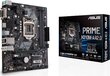 Asus 90MB0Z10-M0EAYC cena un informācija | Mātesplates | 220.lv