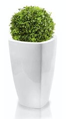 Керамический цветочный горшок Mood, квадратный, белый, 38 х 61 (А) см цена и информация | Вазоны | 220.lv