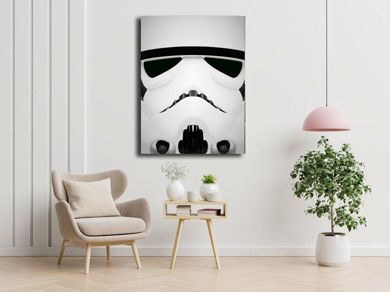 Saskarieties ar to! Zvaigžņu kari Zvaigžņu kari - Stormtrooper - glezna uz audekla 50x70 cm цена и информация | Gleznas | 220.lv